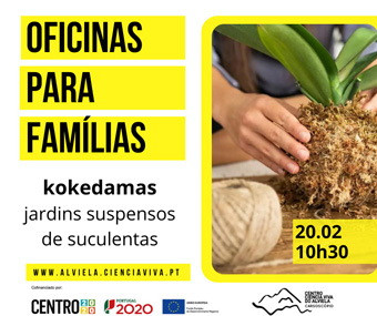 Oficina para Famílias - Kokedamas, Jardins Suspensos de Suculentas