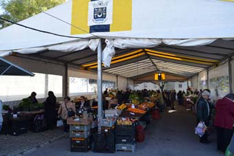 mercado provisorio low