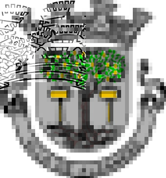 BRASAO MUNICIPIO ALCANENA