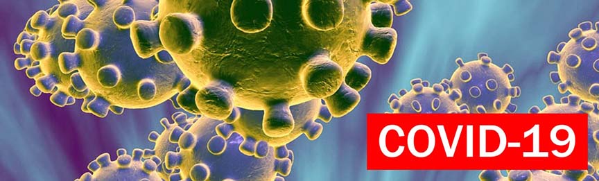 coronavirus low