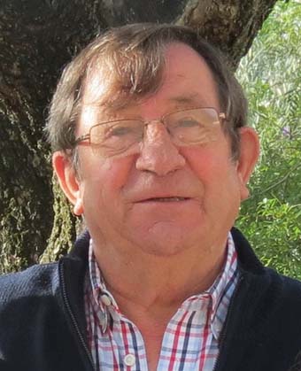 joao carreira low