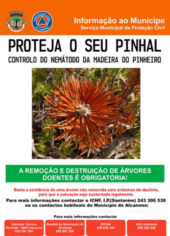 nematodo pinheiro 2020