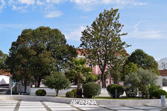 Inventário do Arvoredo Urbano do Concelho de Alcanena