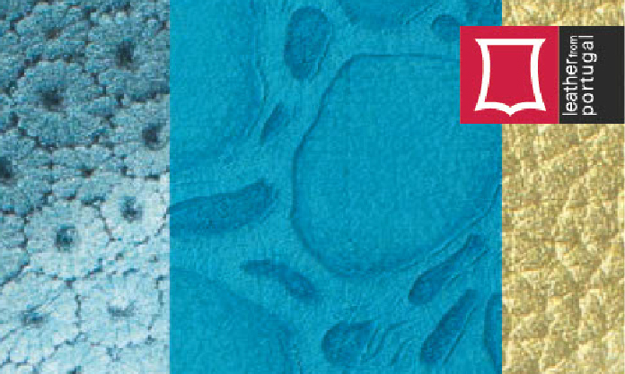 Sessão de Encerramento do Projeto In-Leathers