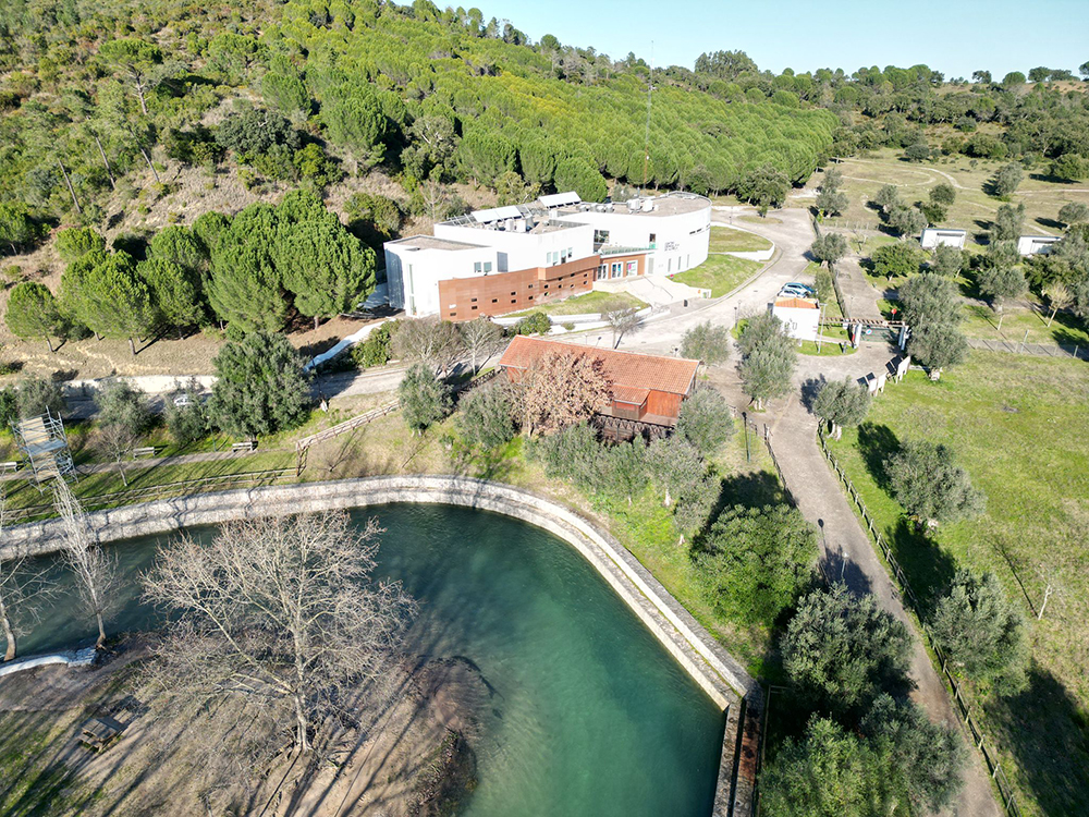 WhatsApp Image 2025 08 07 at 12.53.53 2 copiar