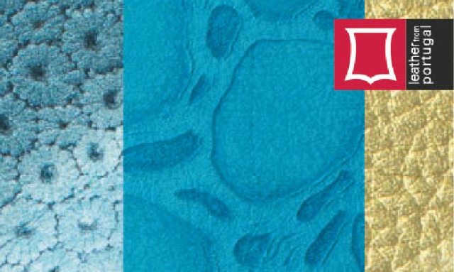 Sessão de Encerramento do Projeto In-Leathers